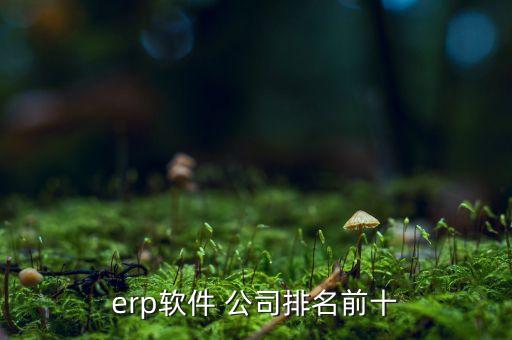 財務系統(tǒng)軟件品牌公司,NCC財務系統(tǒng)軟件介紹